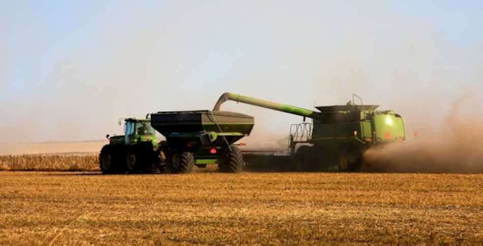 There's been a number of Combine Harvesters and Tractors trundling up and down the lane this past few weeks. I've got used to them now.